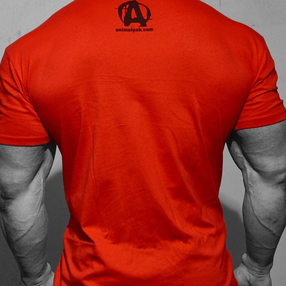 Animal Iconic red t-shirt - Picture 2 of 4